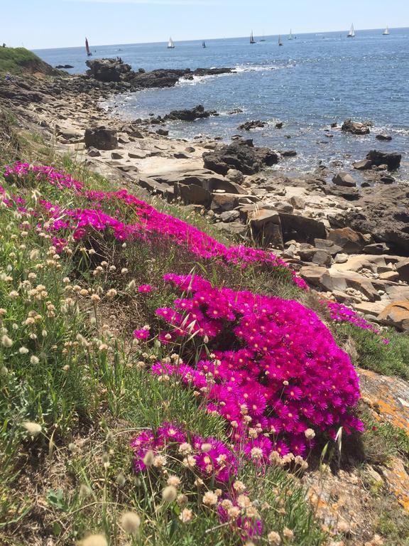Hotel L'oasis Bretonne