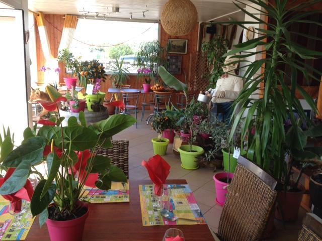 L'oasis Bretonne 2*